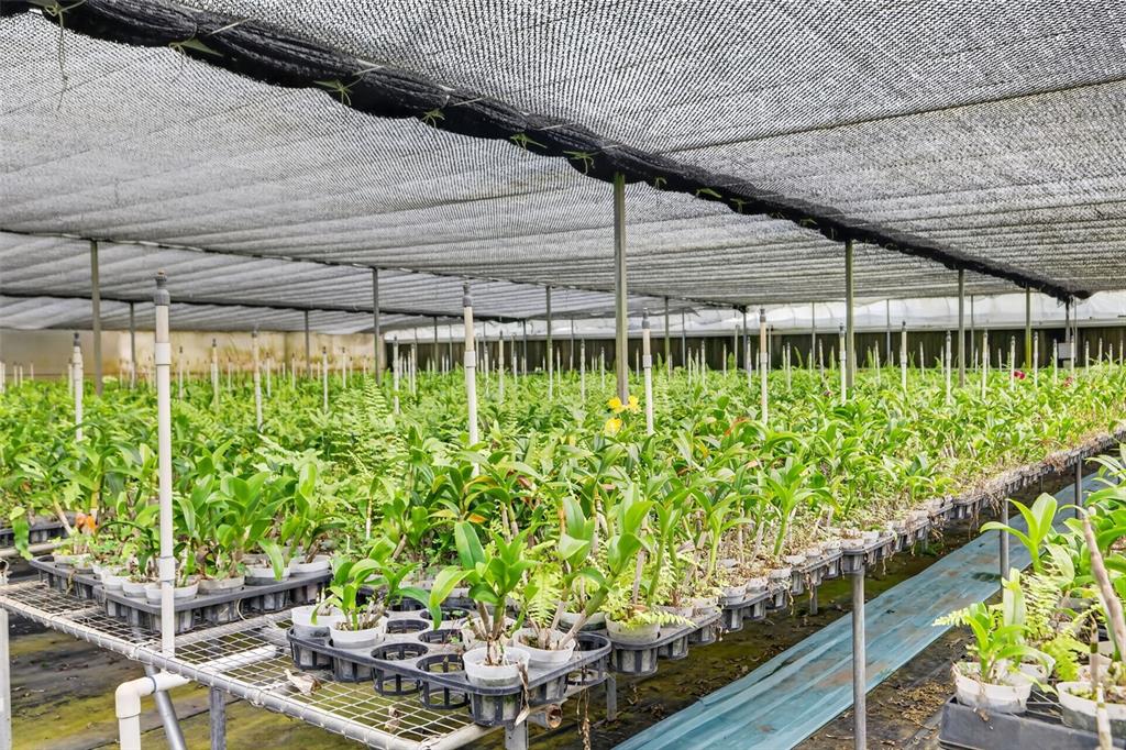 A greenhouse features rows of potted orchids on metal tables under a black shade cloth — 2866 LENT ROAD, APOPKA, FL