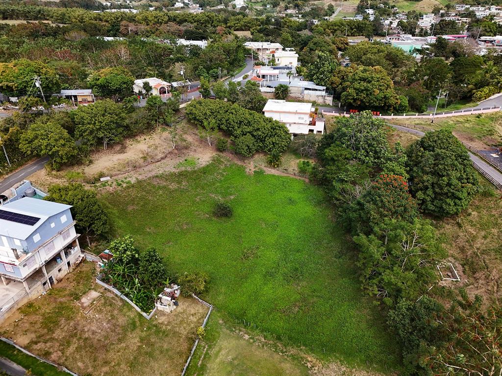 PR-115 INTERIOR, RINCON, PR — photo 4 of 10