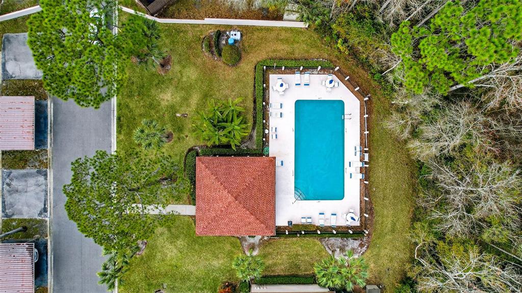 An aerial view shows a rectangular swimming pool with a surrounding deck and a gazebo — 3409 HILL MOOR DRIVE, PALM HARBOR, FL