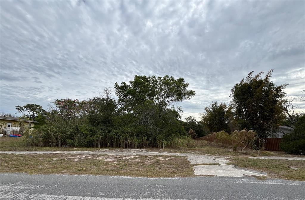 A vacant, overgrown residential lot sits between two houses under a cloudy sky — 6330 KELVIN COURT, SPRING HILL, FL