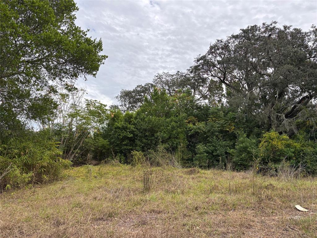 A grassy, undeveloped lot is bordered by dense trees and vegetation under a cloudy sky — 6330 KELVIN COURT, SPRING HILL, FL