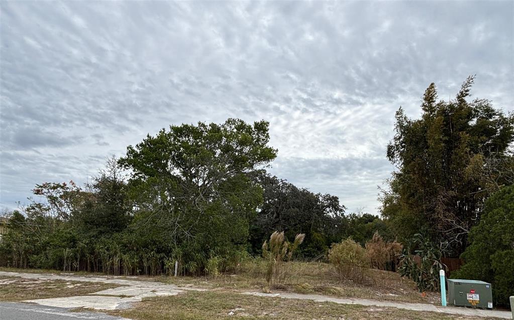 A vacant, overgrown residential lot with trees and a utility box under a cloudy sky — 6330 KELVIN COURT, SPRING HILL, FL