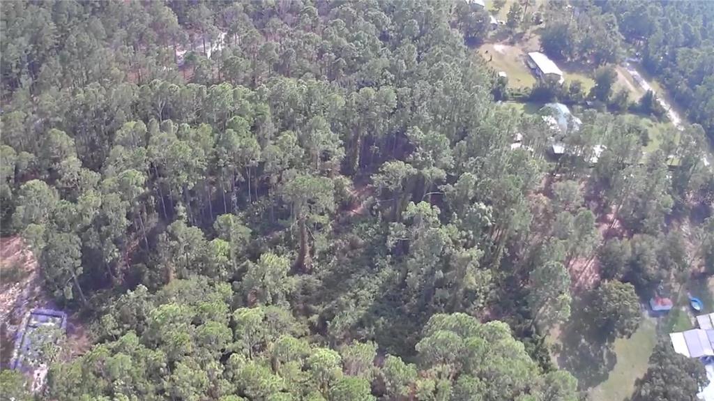 105 PINE CONE DRIVE, GEORGETOWN, FL — photo 3 of 8