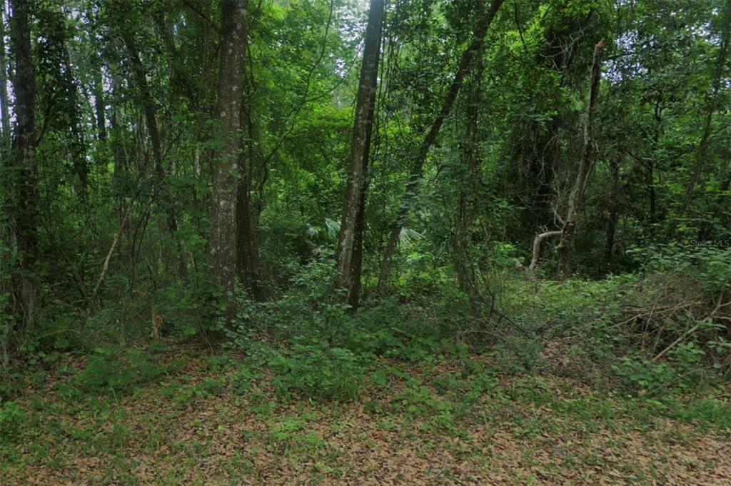 102 RIDGELINE AVENUE, SATSUMA, FL — photo 3 of 5