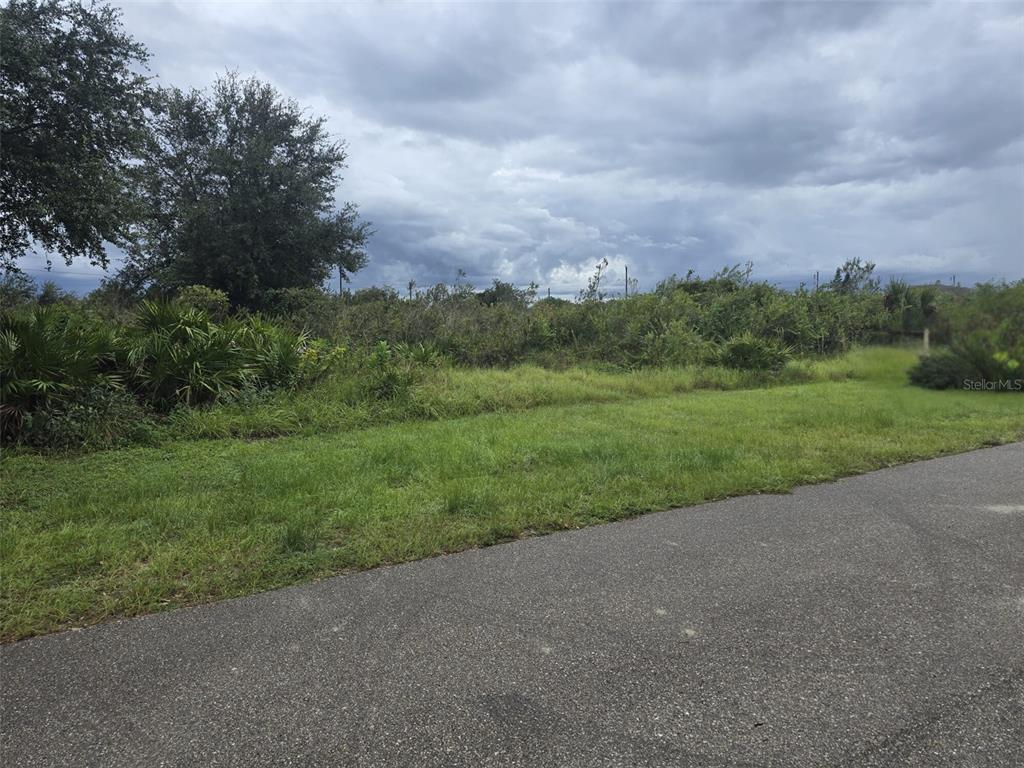 A vacant, grassy lot with dense brush and trees under a cloudy sky — 2605 70TH STREET W, LEHIGH ACRES, FL