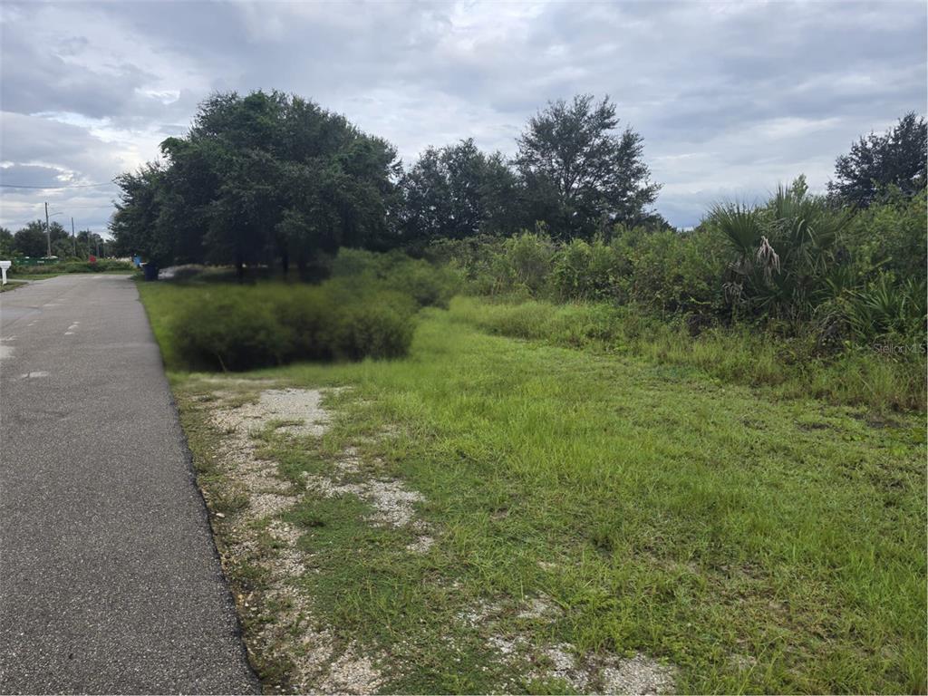 A paved road runs alongside a grassy, undeveloped lot with trees and shrubs — 2605 70TH STREET W, LEHIGH ACRES, FL
