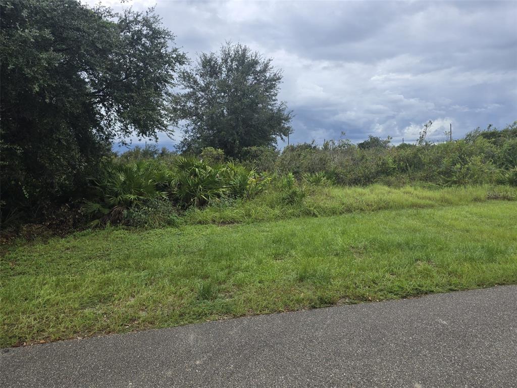 A view of a vacant, overgrown grassy lot bordered by trees and shrubs — 2605 70TH STREET W, LEHIGH ACRES, FL