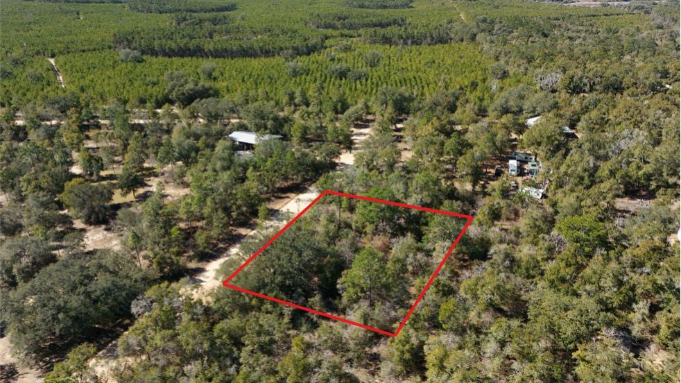 An aerial view shows a rectangular plot of land outlined in red amidst a wooded area — 0 Stewart Lake Road, FL 32428, FL