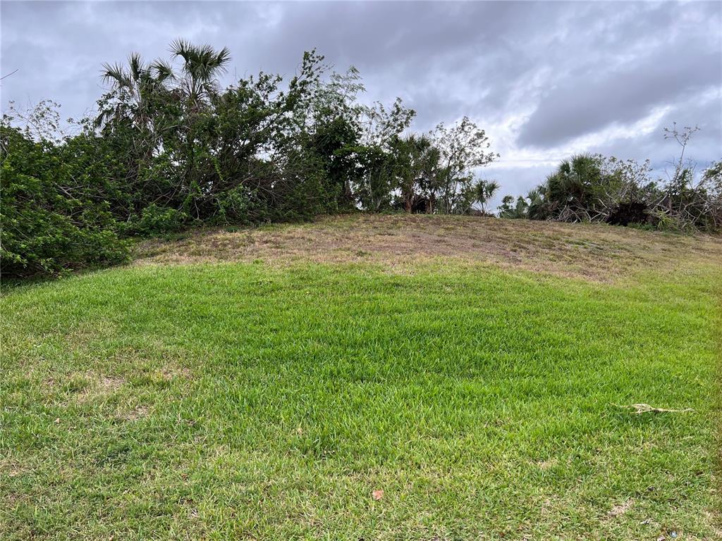 WOODBRIDGE DRIVE, VENICE, FL — photo 2 of 16