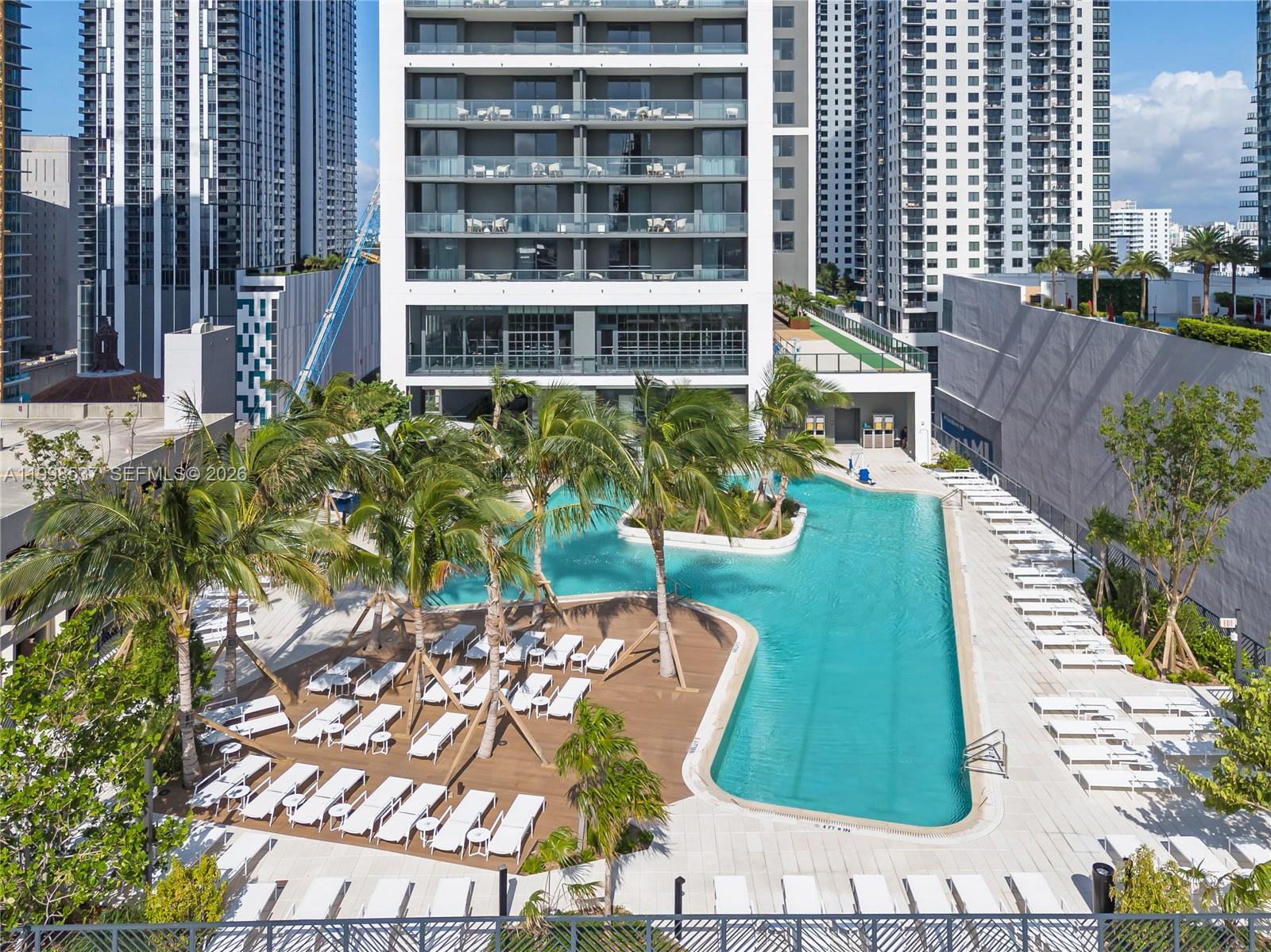 An outdoor swimming pool area with lounge chairs and palm trees at a high-rise building — 159 NE 6th St # 2403, Miami FL 33132, MIAMI, FL