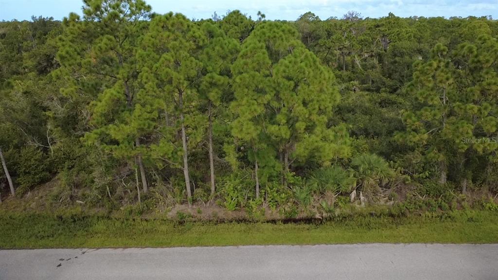 An aerial view shows a paved road bordering a wooded lot with tall pine trees — 4153, 4145, and 4137 SIMS STREET, PORT CHARLOTTE, FL