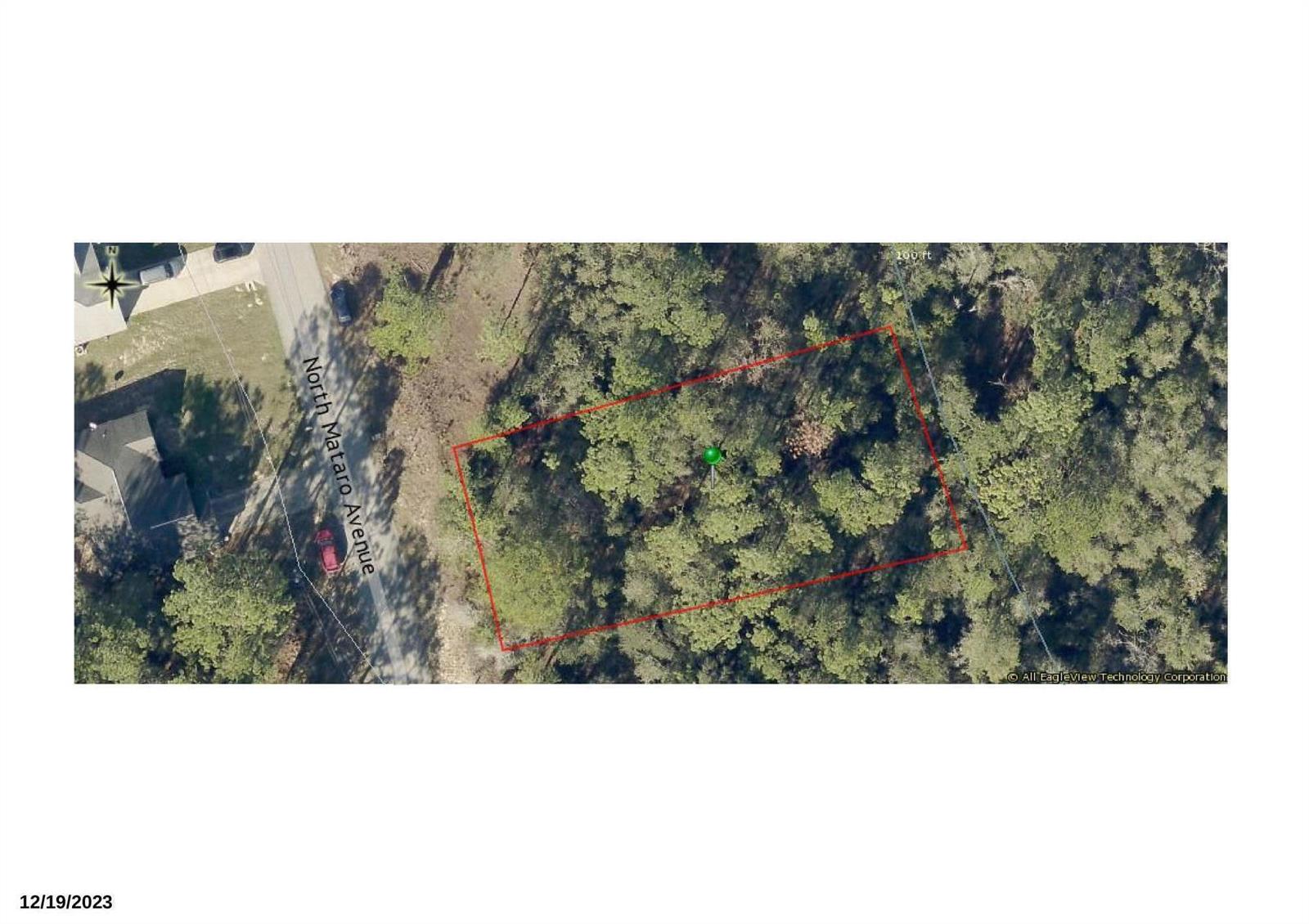 This is an aerial map showing a wooded lot outlined in red along North Mataro Avenue — 11059 N Mataro Avenue, FL 34434, FL