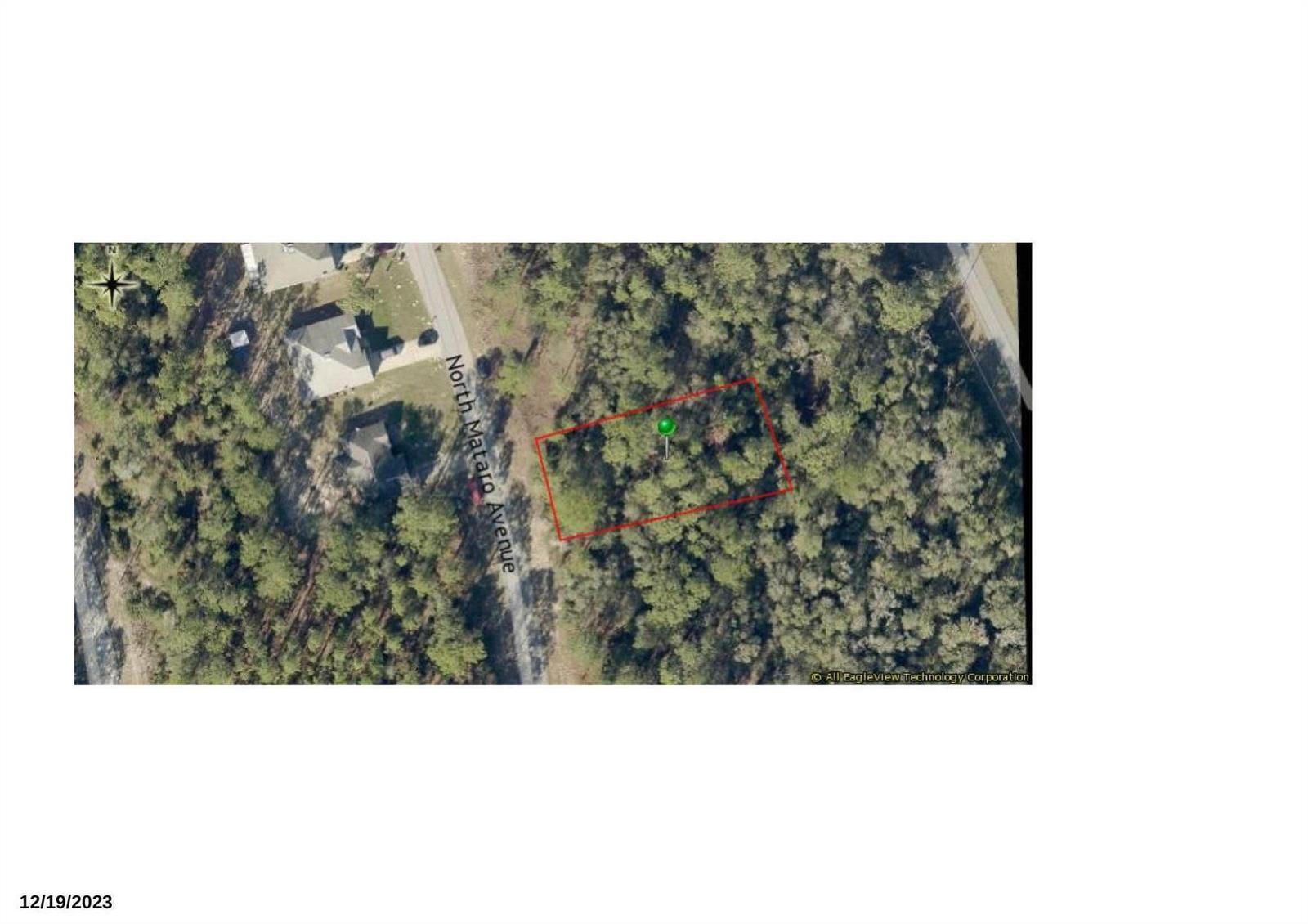This is an aerial map showing a wooded lot outlined in red near a road — 11059 N Mataro Avenue, FL 34434, FL