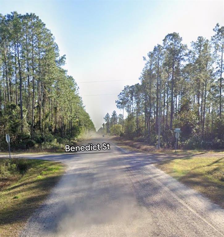 A dirt road intersection is surrounded by a dense forest of tall pine trees — 10460 DILLON AVENUE, HASTINGS, FL