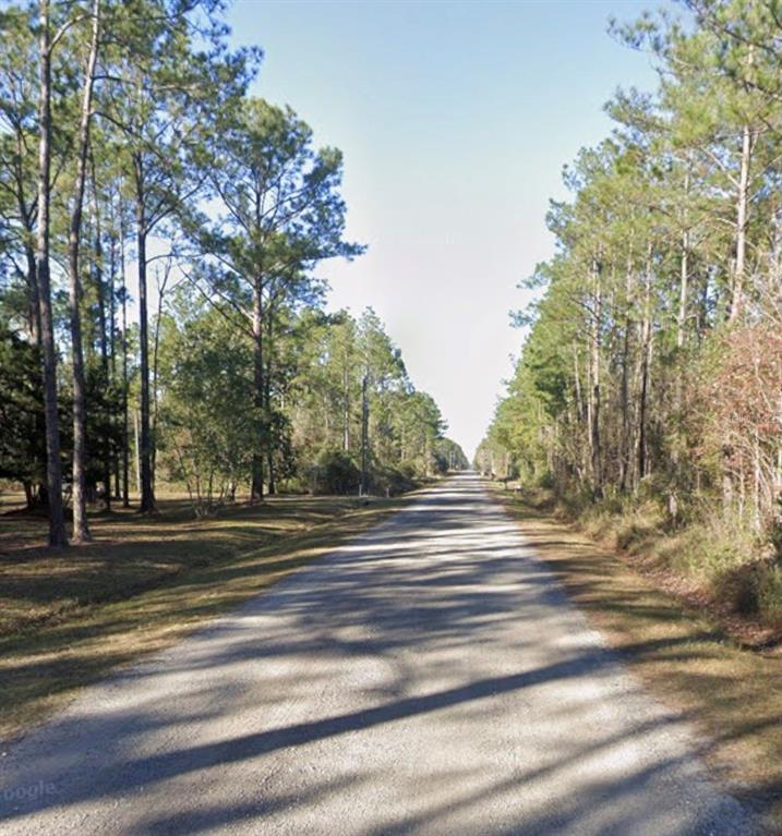 A gravel road stretches through a wooded area lined with tall pine trees — 10460 DILLON AVENUE, HASTINGS, FL