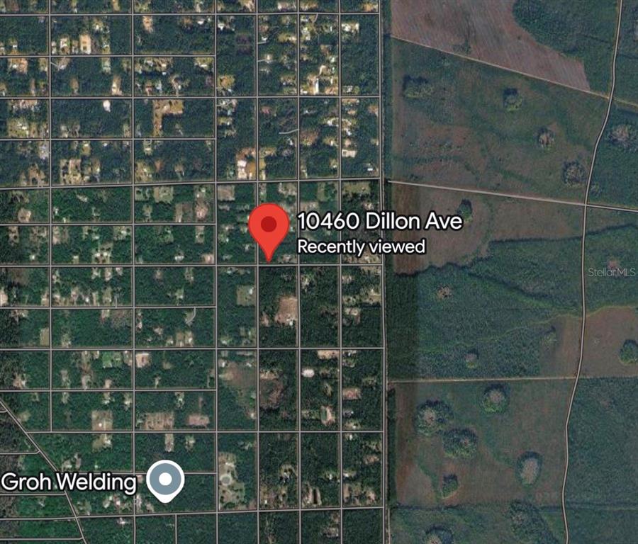 This is a satellite map view showing a residential area with a red location pin — 10460 DILLON AVENUE, HASTINGS, FL