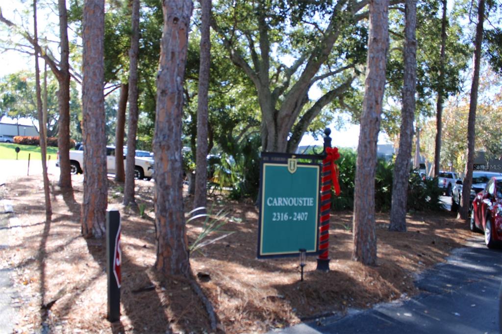 A green sign labeled Carnoustie stands among pine trees near a paved road — 36750 US HIGHWAY 19 N UNIT 3-203, PALM HARBOR, FL