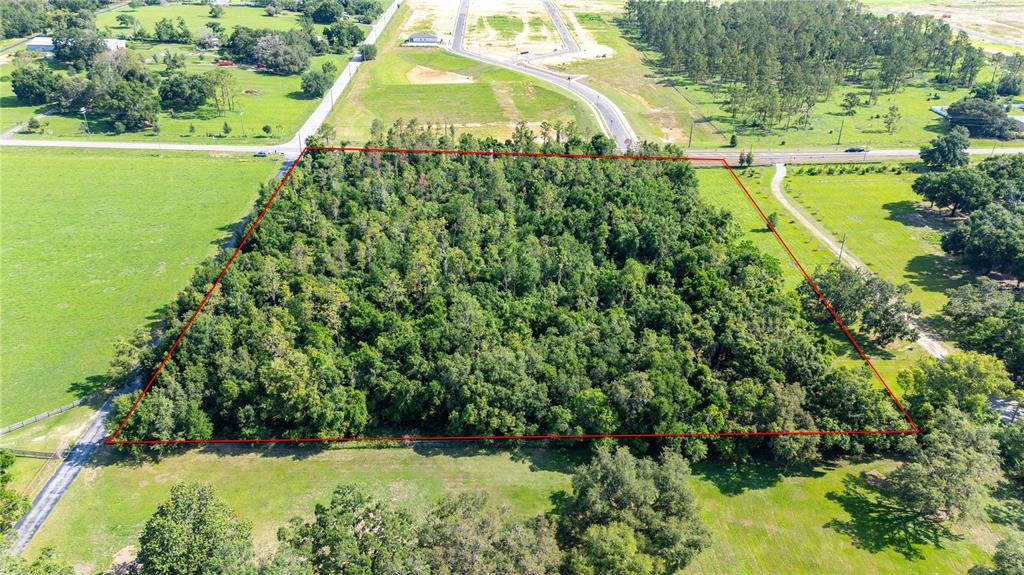 An aerial view shows a square, wooded lot outlined in red surrounded by open fields — 36126 SAINT JOE ROAD, DADE CITY, FL