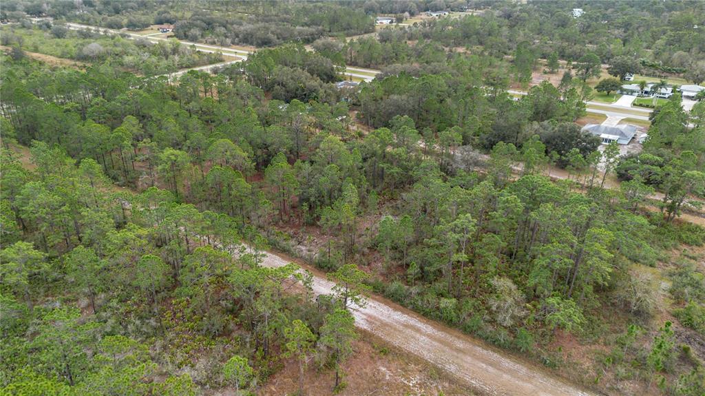 An aerial view shows a dirt road winding through a wooded, undeveloped residential lot — 209 EL DORADO DRIVE, INDIAN LAKE ESTATES, FL