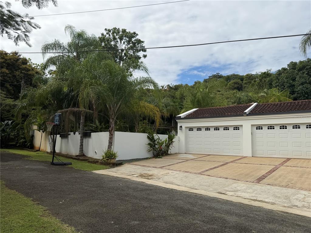 A white garage with two doors sits next to a paved driveway and palm trees — 16 TRINITARIA, GURABO, PR