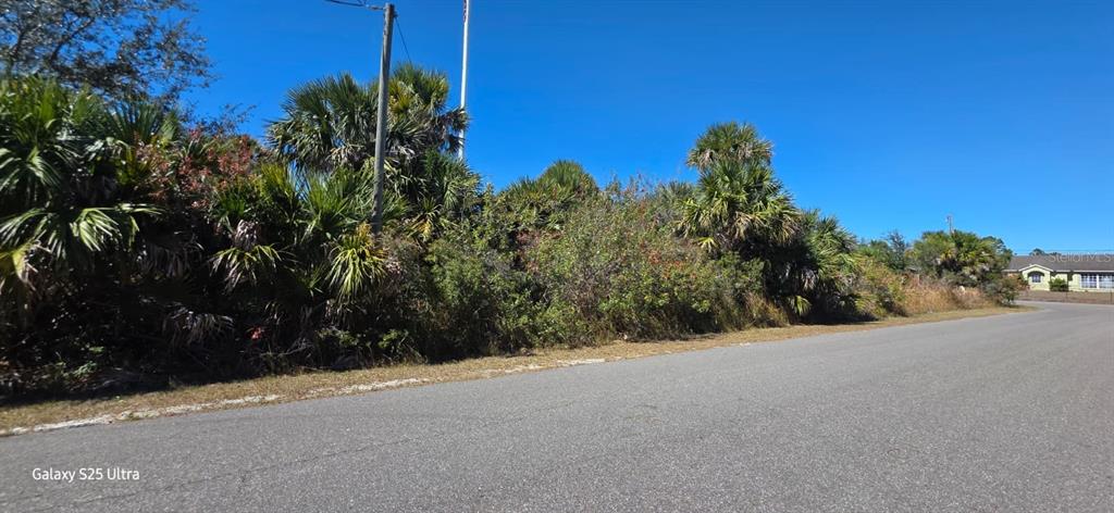 A vacant, overgrown residential lot with palm trees and brush borders a paved street — 3014 FERDON AVENUE, PALM BAY, FL