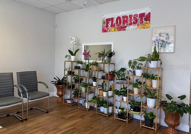 A florist shop interior features two gray chairs and shelves filled with various potted plants — 120 ALEXANDRIA BOULEVARD UNIT 17, OVIEDO, FL