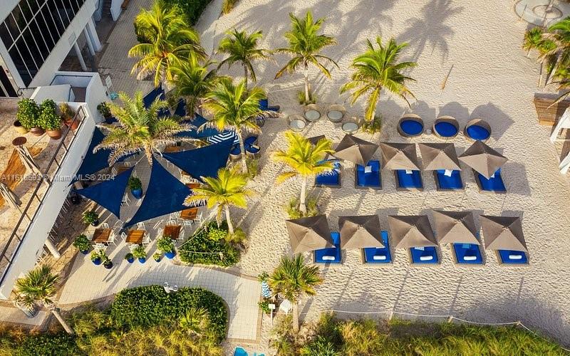 An aerial view shows a beach area with palm trees, lounge chairs, and shade umbrellas — 2602 E Hallandale Beach Blvd # R807, Hallandale Beach FL 33009, HALLANDALE BEACH, FL