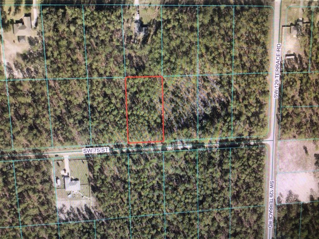 This is an aerial map view of a rectangular, wooded plot of land — 0 SW 75 STREET, DUNNELLON, FL
