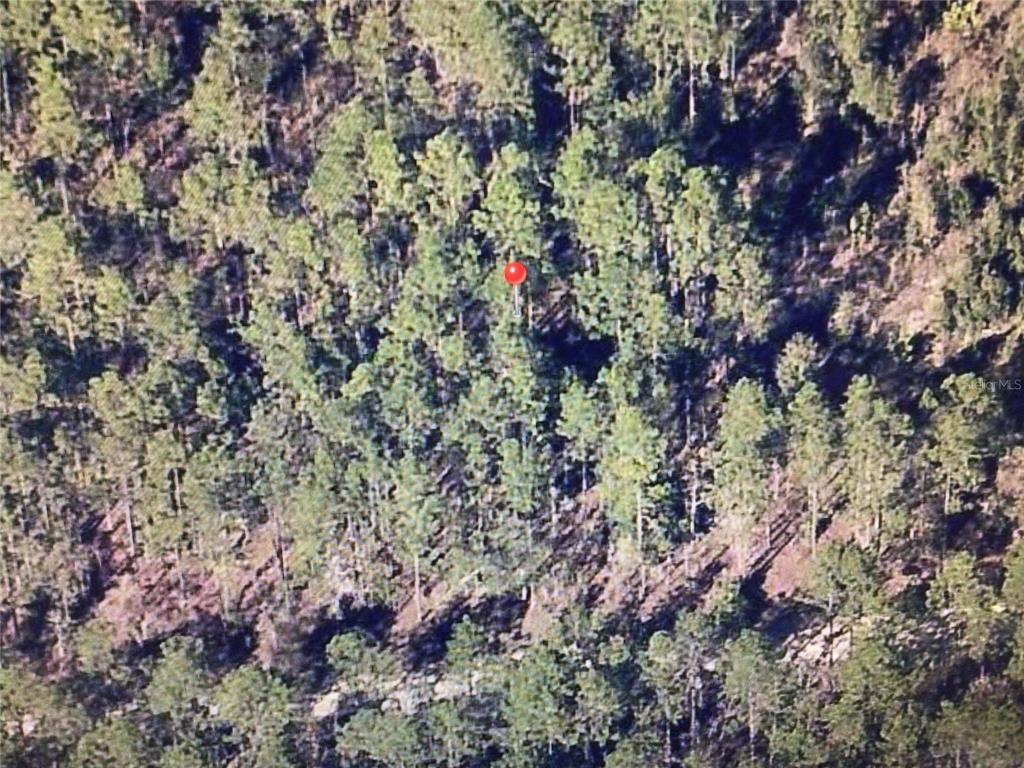 An aerial view shows a densely wooded plot of land marked with a red pin — 0 SW 75 STREET, DUNNELLON, FL