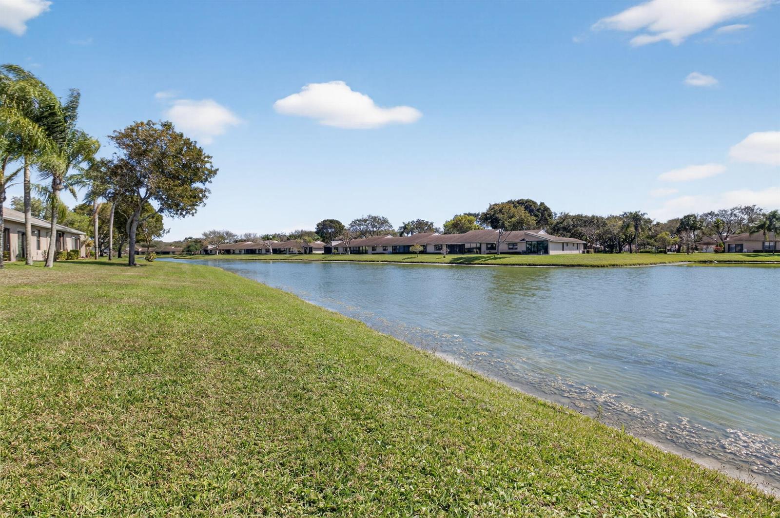 A grassy lawn slopes down to a lake with residential buildings in the background — 8350 Springlake Drive, Boca Raton FL 33496, BOCA RATON, FL