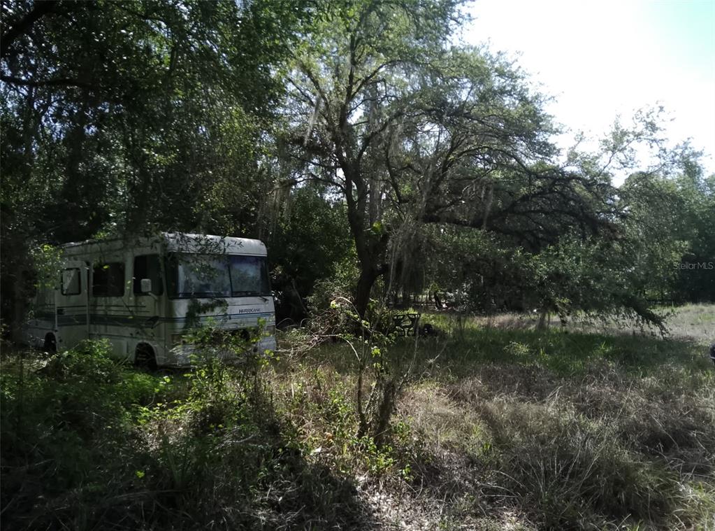 A white recreational vehicle is parked in a wooded, grassy lot under large trees — 705 HORSE CLUB AVENUE, CLEWISTON, FL