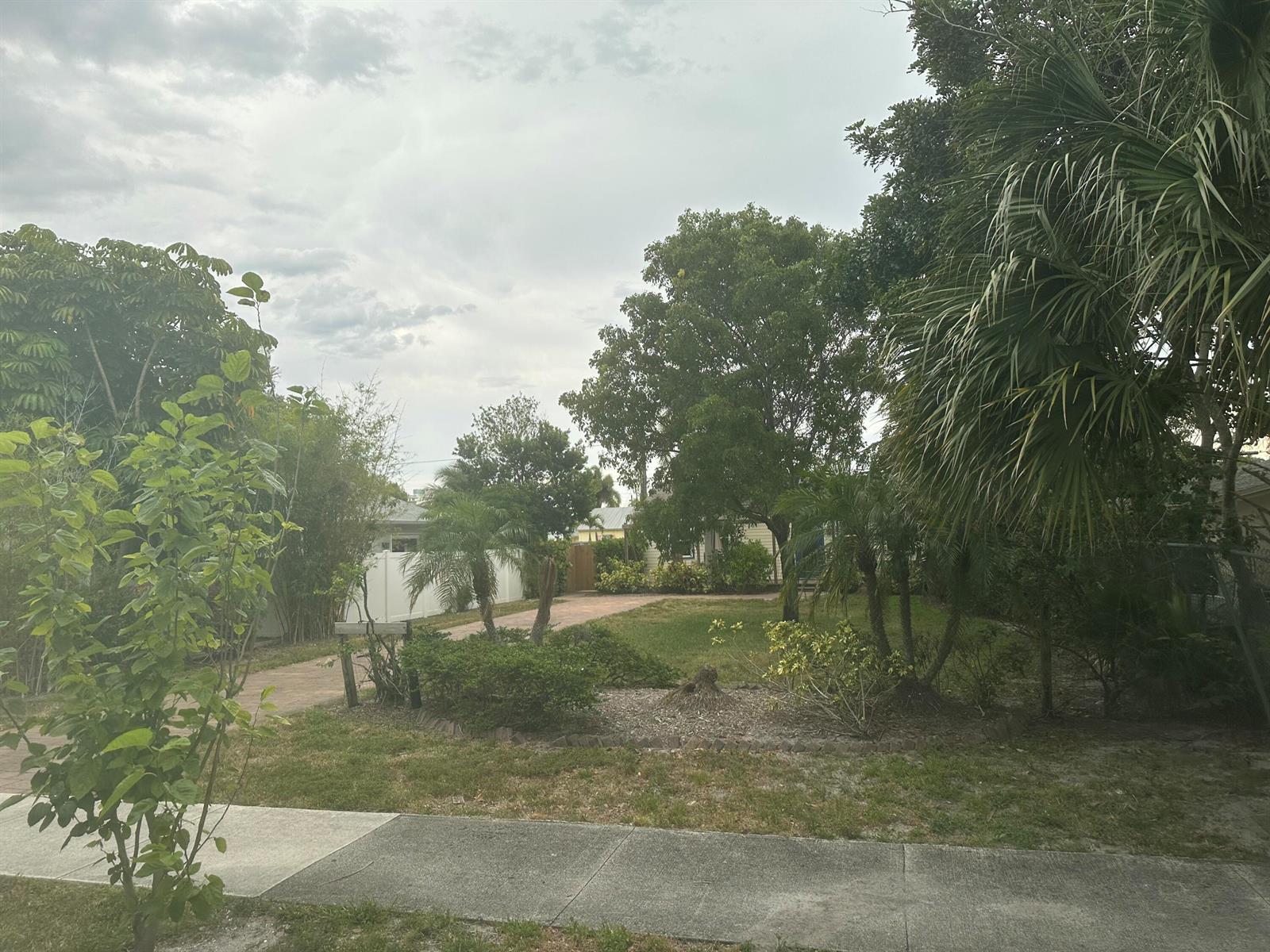 A grassy front yard with mature trees, palm plants, and a paved walkway — 729 SE 2nd Avenue, Delray Beach FL 33483, DELRAY BEACH, FL