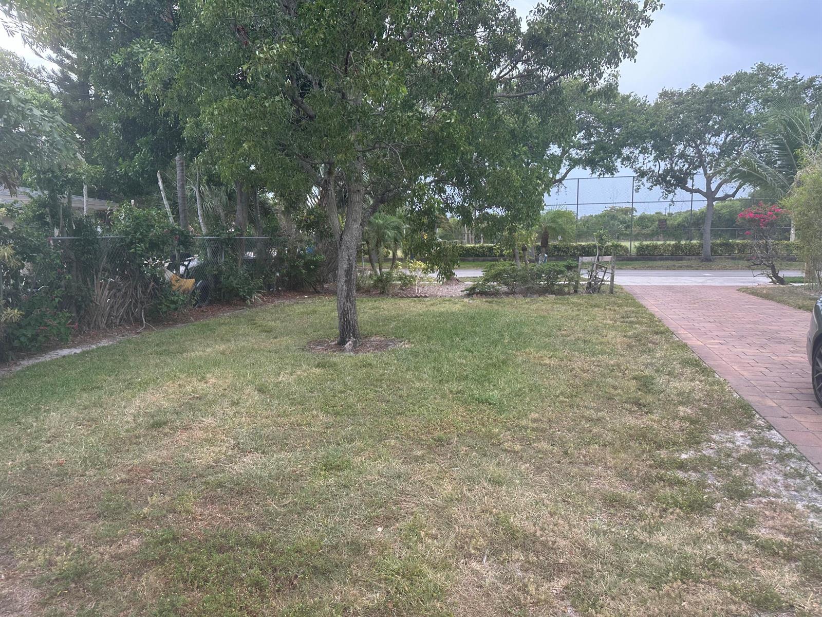 A grassy front yard features a central tree, a brick driveway, and a chain-link fence — 729 SE 2nd Avenue, Delray Beach FL 33483, DELRAY BEACH, FL
