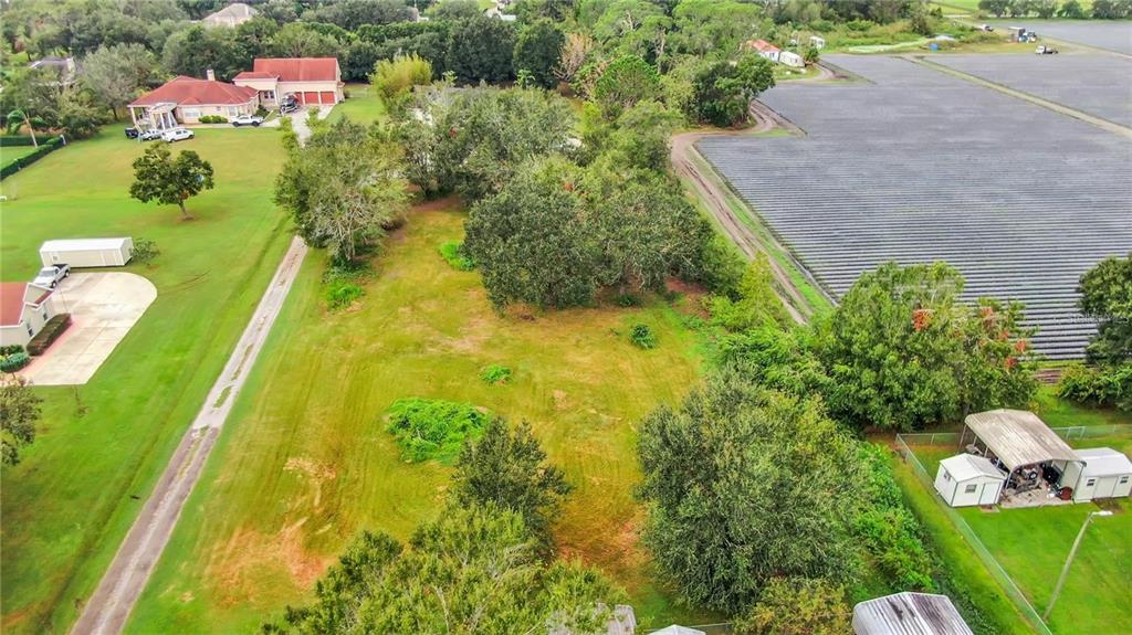 An aerial view shows a grassy lot with scattered trees situated between a house and farmland — 13906 SWEET BLOSSOM COURT, DOVER, FL