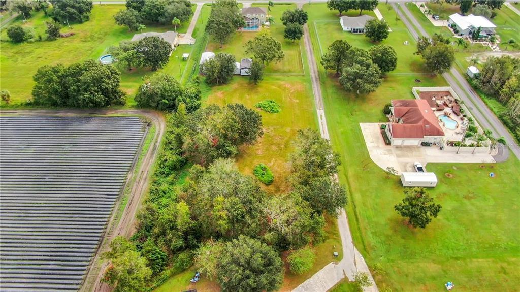 An aerial view shows a large, wooded residential lot adjacent to a farm field — 13906 SWEET BLOSSOM COURT, DOVER, FL