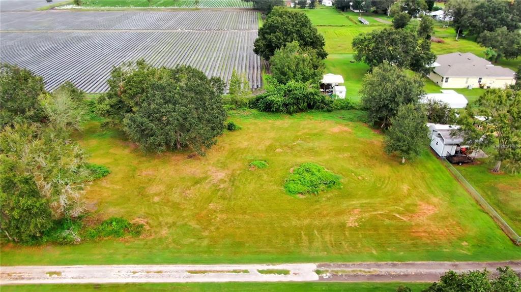 An aerial view shows a vacant, grassy rectangular lot bordered by trees and a road — 13906 SWEET BLOSSOM COURT, DOVER, FL