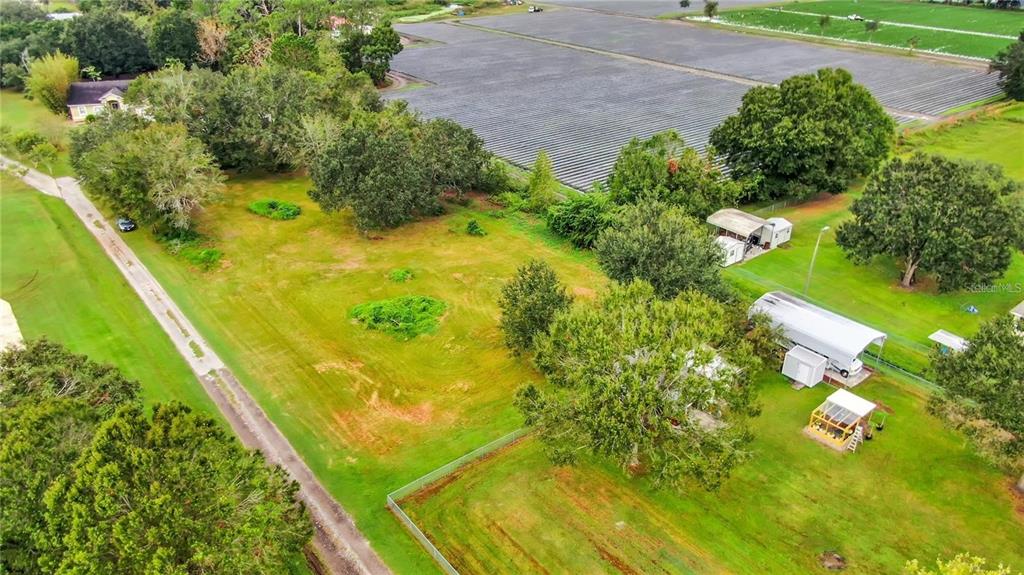 An aerial view shows a grassy lot with trees, a driveway, and several small outbuildings — 13906 SWEET BLOSSOM COURT, DOVER, FL