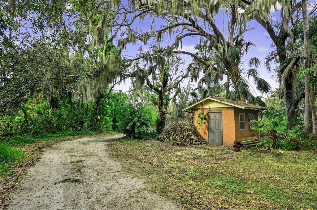 A small, tan shed sits beside a dirt path under large, moss-draped oak trees — 7808 34TH COURT E, SARASOTA, FL