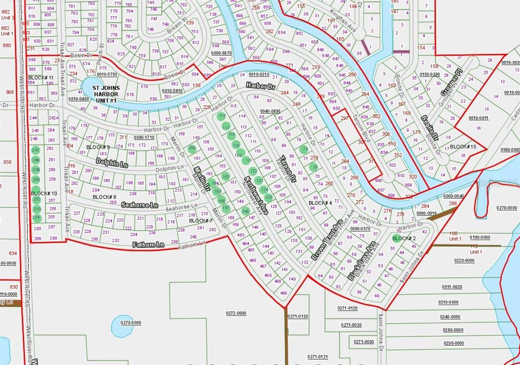 This is a detailed map showing residential lots, street names, and block numbers — 859 W RIVER ROAD, PALATKA, FL