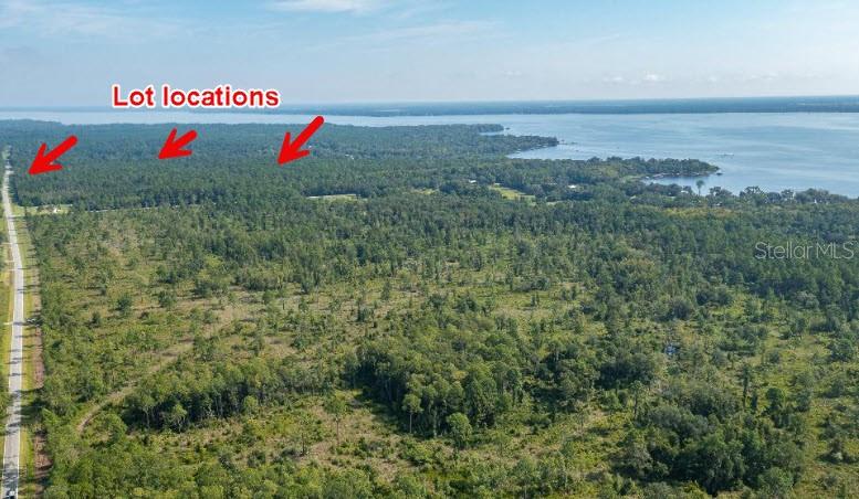 An aerial view shows a large, wooded plot of land situated near a body of water — 859 W RIVER ROAD, PALATKA, FL