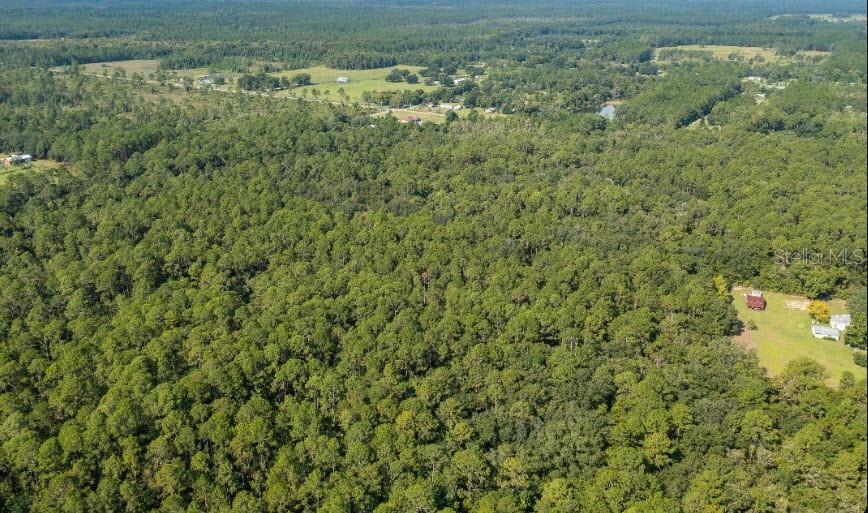 An aerial view shows a large, dense forest with a small clearing containing several buildings — 859 W RIVER ROAD, PALATKA, FL
