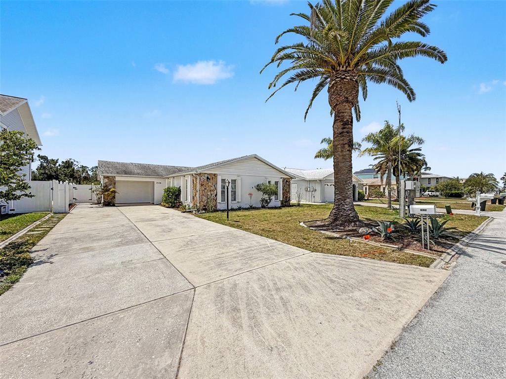 A single-story house with a concrete driveway, stone accents, and a large palm tree — 7038 SOUTHWIND DRIVE, HUDSON, FL
