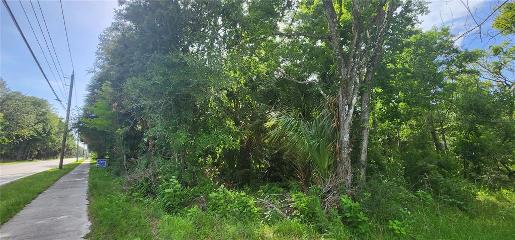A sidewalk runs alongside a road next to a densely wooded, undeveloped lot — 4060 AURANTIA ROAD, MIMS, FL