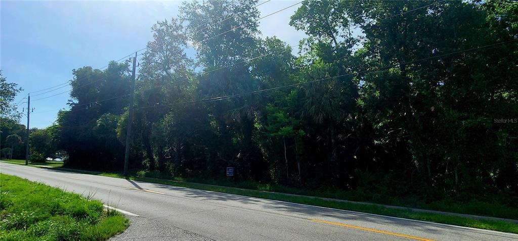 A paved road runs alongside a densely wooded lot with a small sign — 4060 AURANTIA ROAD, MIMS, FL