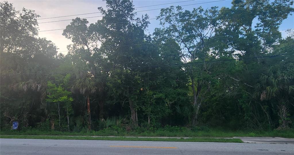 A densely wooded, undeveloped residential lot sits behind a paved road and sidewalk — 4060 AURANTIA ROAD, MIMS, FL