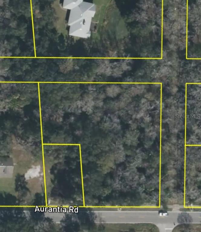 This is an aerial map showing a wooded lot outlined in yellow along a road — 4060 AURANTIA ROAD, MIMS, FL