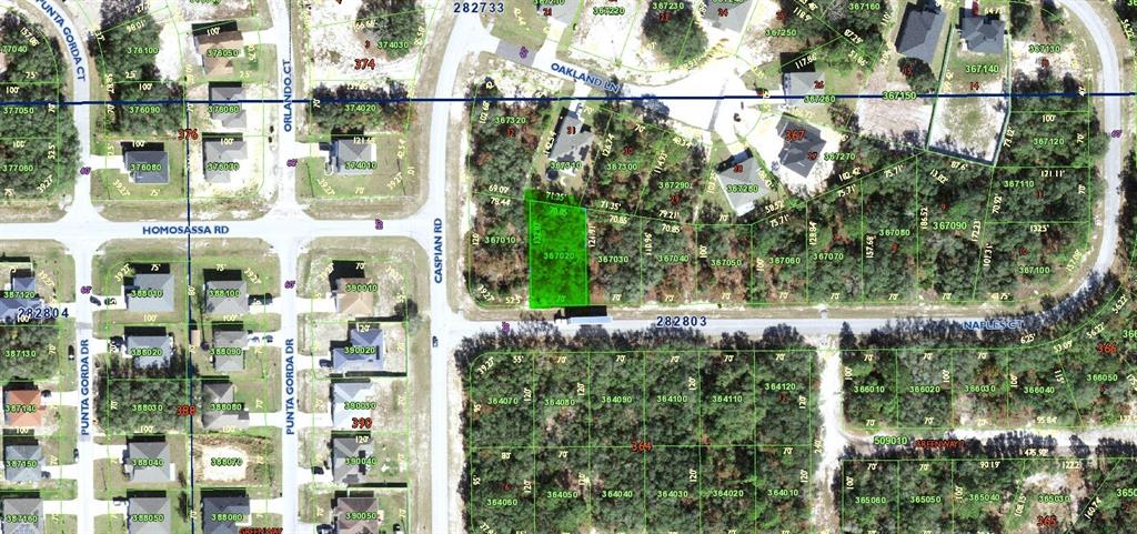 This is an aerial map showing residential lots and street layouts in a wooded area — 448 NAPLES COURT, KISSIMMEE, FL