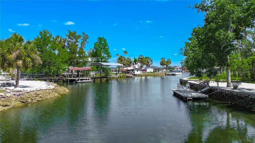 A canal view featuring boat docks, palm trees, and lush greenery under a clear blue sky — 980 N GARDENVIEW TERRACE, CRYSTAL RIVER, FL