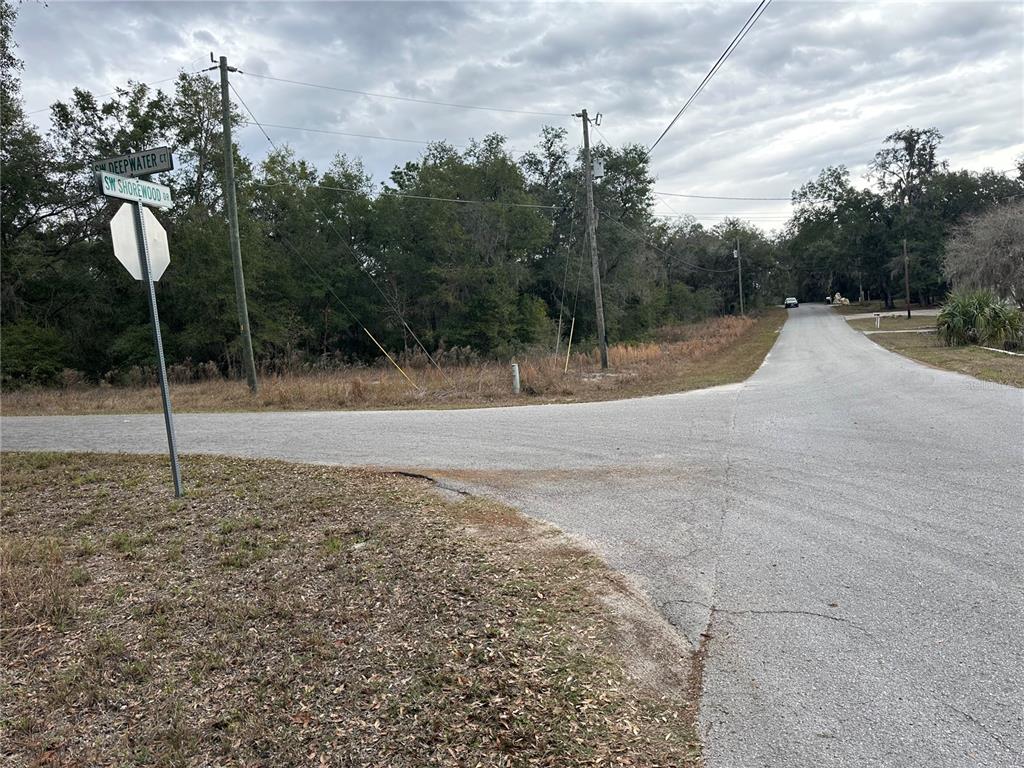 An intersection of two paved roads with a street sign and wooded area — SW SHOREWOOD DRIVE, DUNNELLON, FL