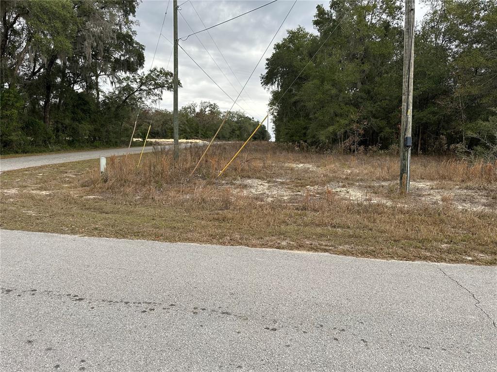An empty, grassy lot sits at a road intersection with utility poles and surrounding trees — SW SHOREWOOD DRIVE, DUNNELLON, FL